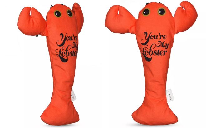 Friends Youre My Lobster Kicker Toy for Cats