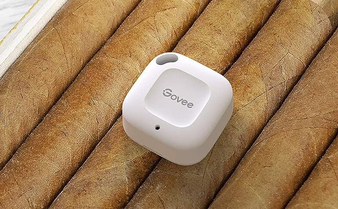 Govee Indoor Hygrometer