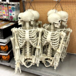 Halloween 5 Feet Poseable Skeleton Decoration in a Store