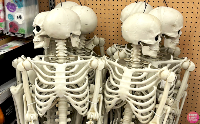 Halloween 5 Feet Skeleton Decoration in a Store