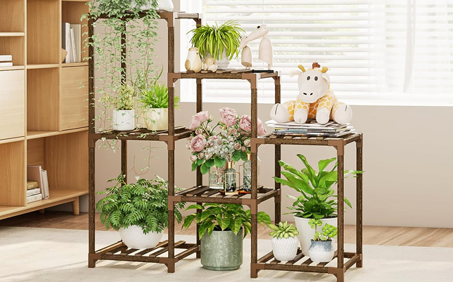 Indoor Plant Stand Shelf Filled with Plants Inside a Room