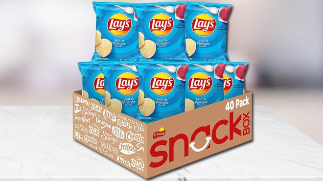 Lays 40 ct Potato Chips Snack Pack Salt Vinegar flavored