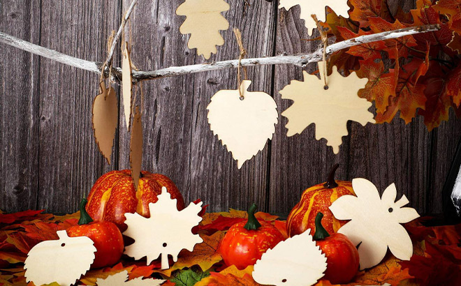 Maple Leaf Ornament 60 Piece