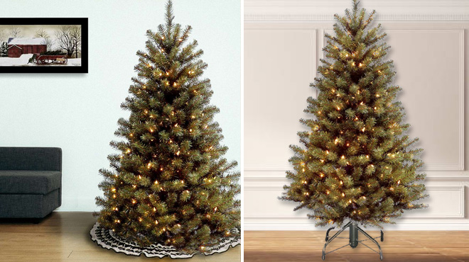 National Tree Company 5 Foot North Valley Spruce Tree with Clear Lights