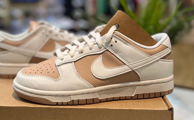 Nike Dunk Low Next Nature Shoes