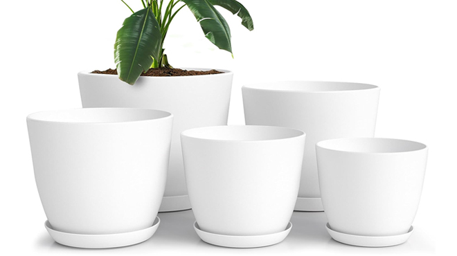 Plastic Plant Pots 5 Pack in White Color