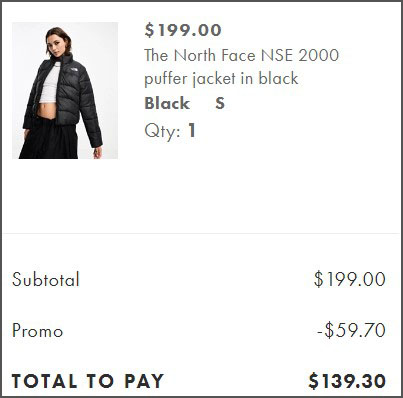 The North Face NSE 2000 Puffer Jacket Checkout Screen