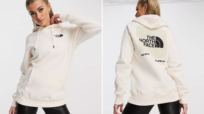 The North Face NSE Box Pullover Hoodie