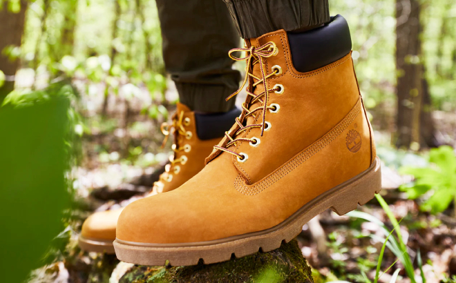 Timberland Mens Basic Boots