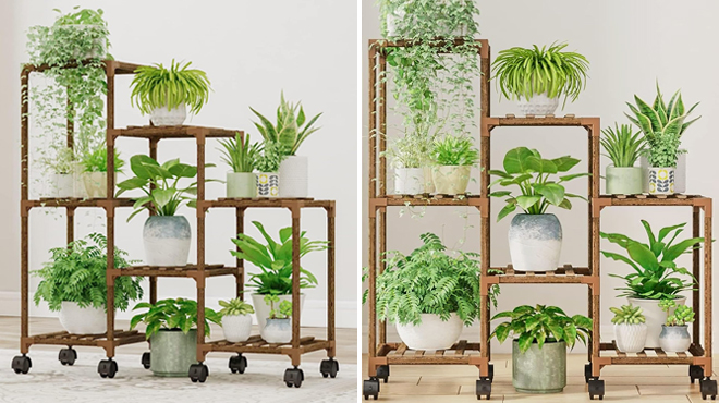 Two Images of Indoor Plant Stand with Wheels Filled with Plants