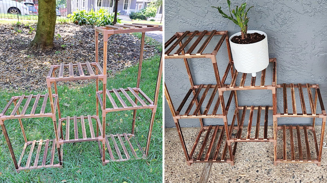 Two Images of Indoor Plant Stand