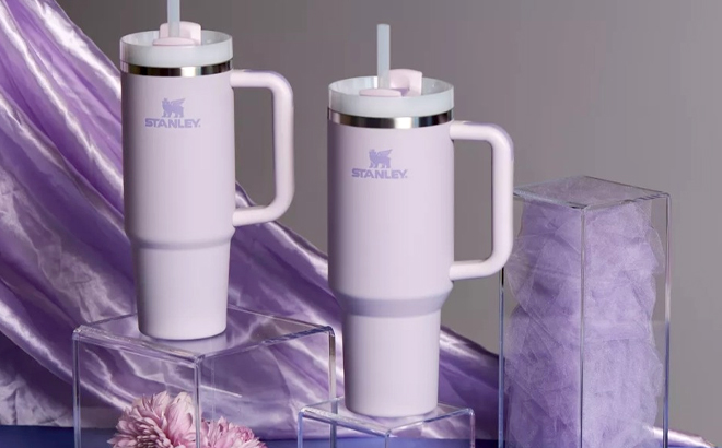 Two Stanley Quencher Tumblers in Orchid Color