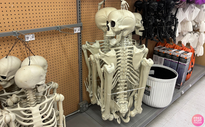 Way To Celebrate Halloween 7 Feet Faux Posable Skeleton in a Store