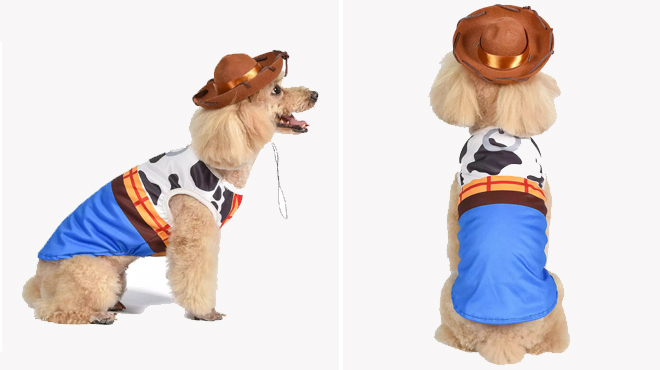 a Dog Wearing a Disney Halloween Toy Story Woody Pet Costume