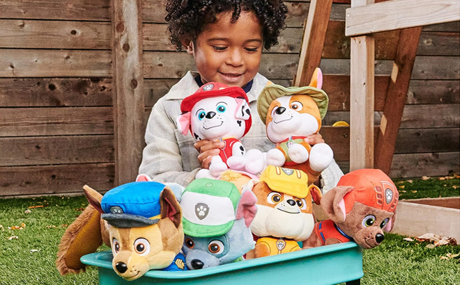 A Boy Playing with the whole Paw Patrol Plushie Family