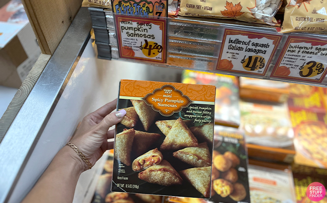 A Hand Holding a Trader Joes Mini Spicy Pumpkin Samosas