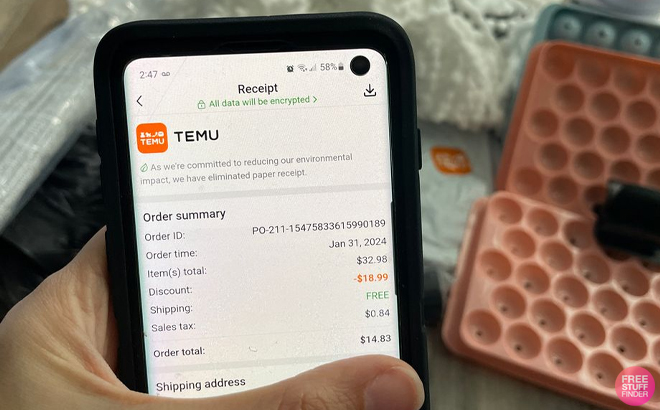 A Person Holding an iPhone with the Temu App Checkout Page Opened