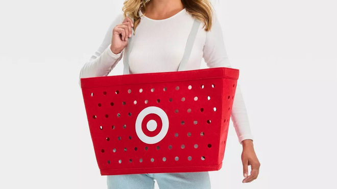 A Person carrying Target Shopping Basket Halloween Costume