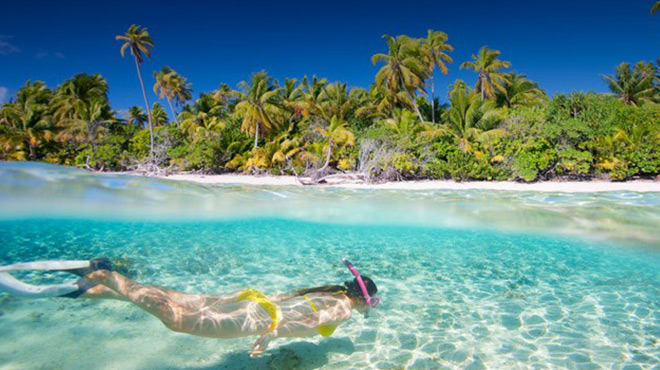 A Woman Swimming in the Sea