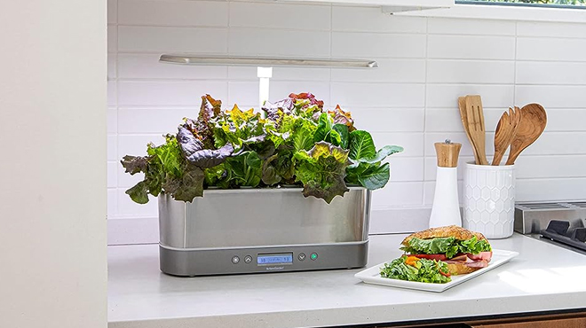 AeroGarden Harvest Elite Slim on Kitchen Counter Top