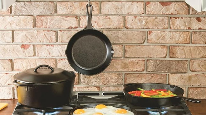 Lodge Pre-Seasoned Cast-Iron Skillet $14.90 (Retail $26)