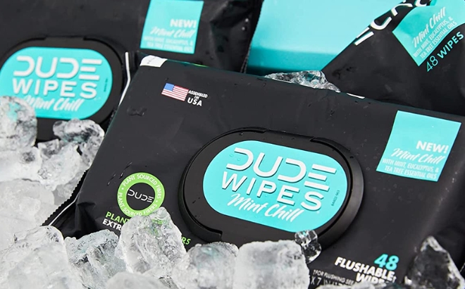 DUDE Wipes Flushable Wipes