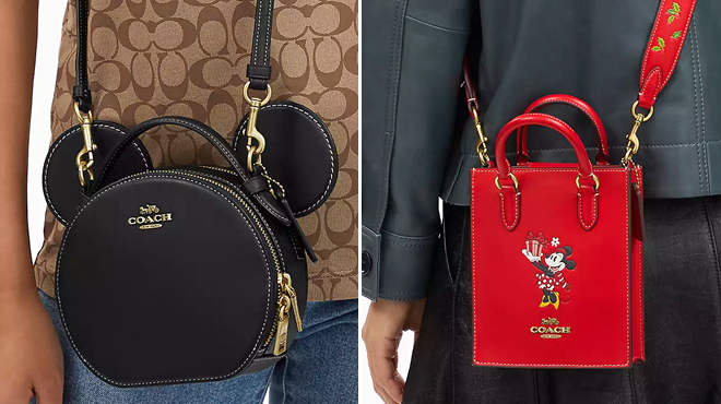 Disney X Coach Mickey Mouse Ear Bag and Disney X Coach North South Mini Tote