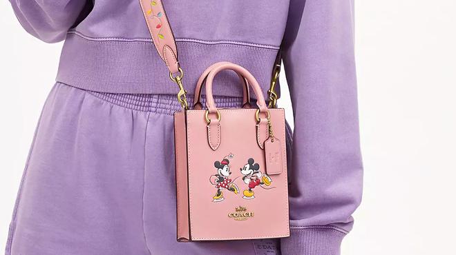 Disney X Coach North South Mini Tote With Ice Skate Motif