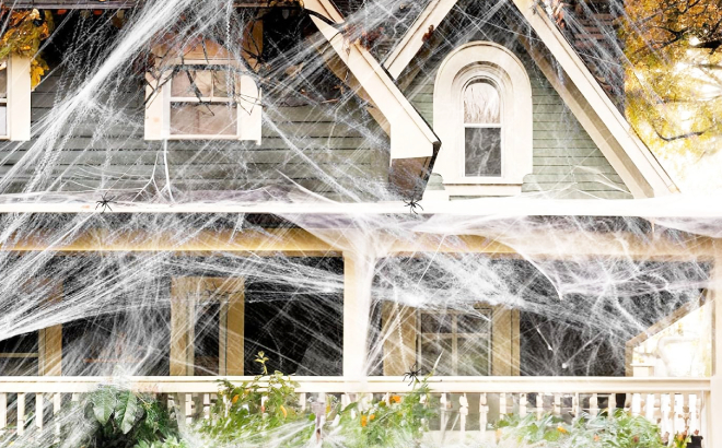 Halloween Spider Web Decoration