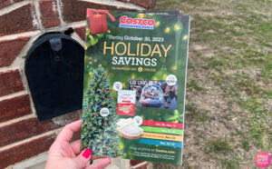 Hand Holding Costco Holiday Savings Black Friday Flyer