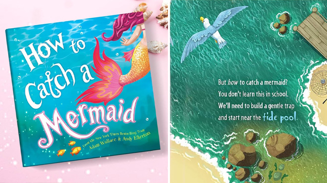 How to Catch a Mermaid Book on the Left Page from the Book on the Right