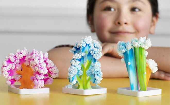 Kid Playing with Create Play Coral Reef Kit