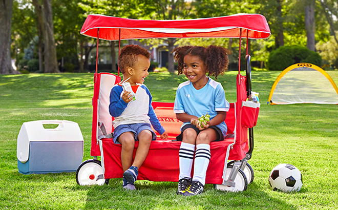 Kids are Sitting on Radio Flyer Folding Wagon in the Park