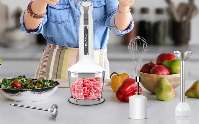 LINKChef Immersion Blender