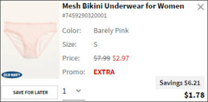 Mesh Bikini Womens Underwear at Checkout