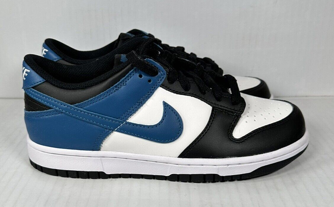 Nike Kids Dunk Low Shoes in Industrial Blue Color