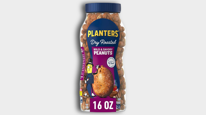 Planters Dry Roasted Bold Savory Peanuts