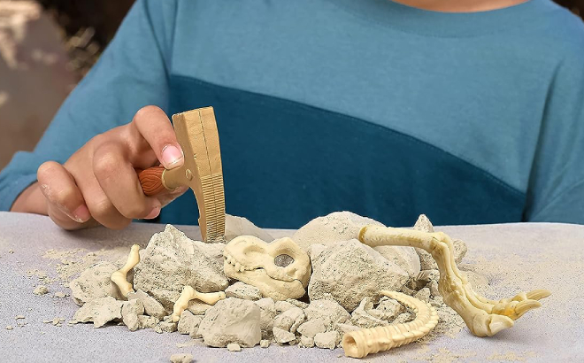 Robo Alive Dino Fossil Find Digging Kit