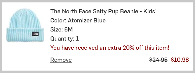 Screanshot Order Summary The North Face Kids Beanie