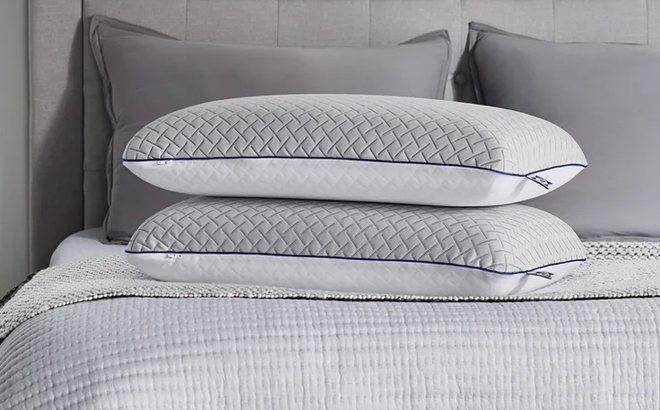 Sealy Memory Foam Pillows