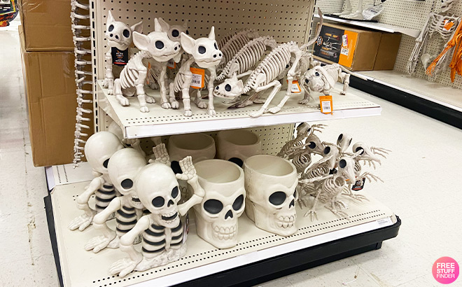 Skeleton Decor Overview