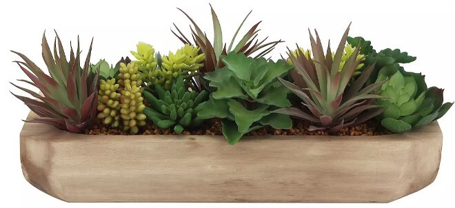 Sonoma Goods For Life Oversized Faux Succulent Assortment In Bowl