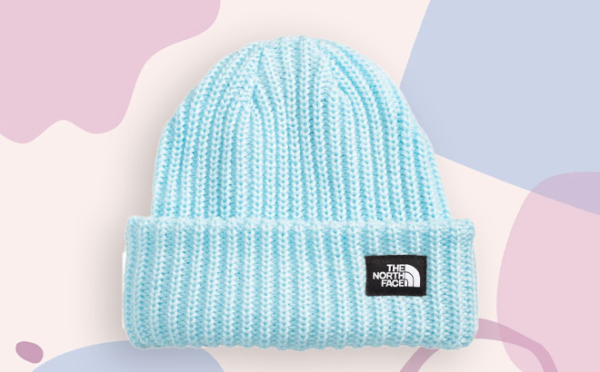 The North Face Kids Salty Pup Beanie in Blue 1