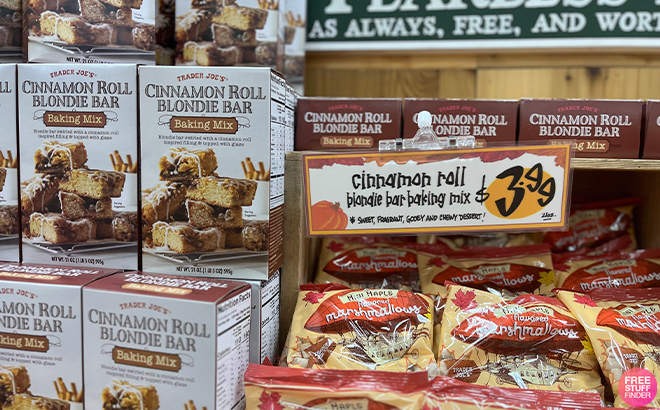 Trader Joes Cinnamon Roll Blondie Bar Baking Mix on a Shelf