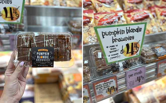 Trader Joes Pumpkin Blondie Brownies