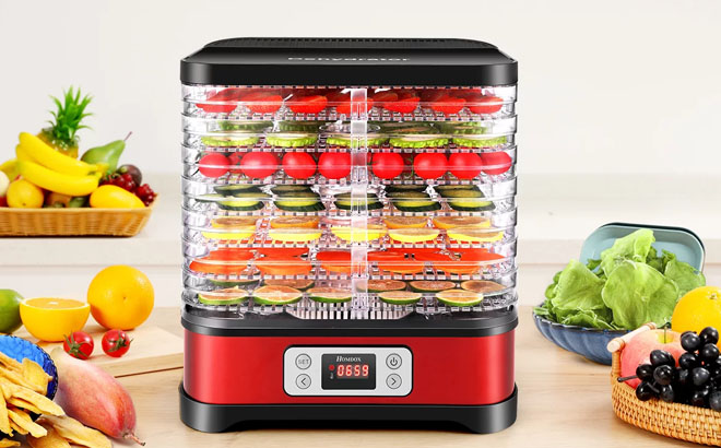 an Image of Qhomic Food Dehydrator Machine