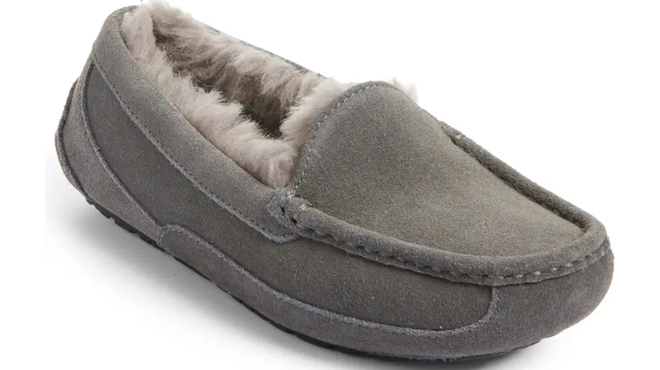 an Image of UGG Kids Ascot Slipper