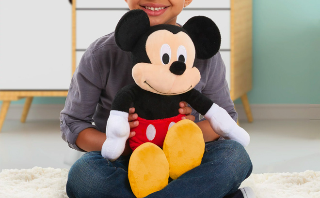 A Boy Holding a Mickey Mouse 10 Inch Plush Toy