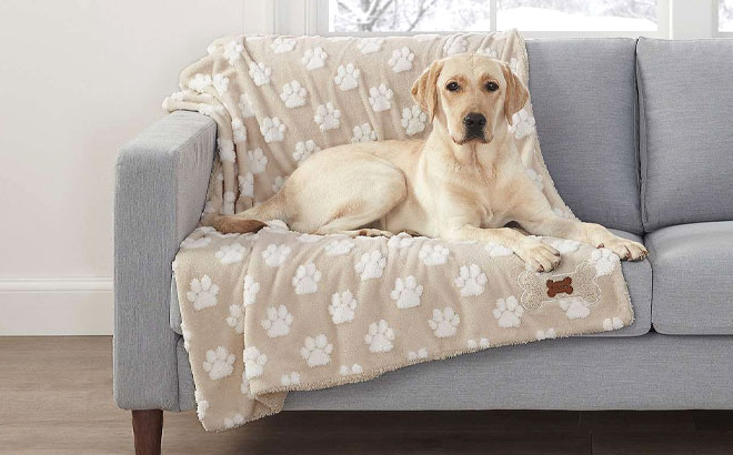 A Dog Lying on Sherpa Pet Blanket