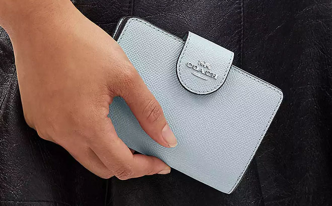 A Hand Holding a Color Pale Blue Coach Outlet Corner Zip Wallet